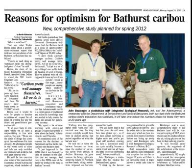 Bathurst Caribou News Article
