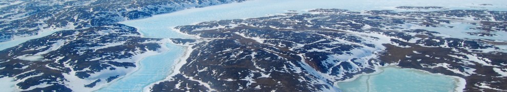 Environmental & Statistical Consulting